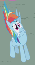 Size: 300x545 | Tagged: safe, imported from derpibooru, screencap, rainbow dash, pegasus, pony, dragonshy, animation error, cropped, female, flat, great moments in animation, mare, missing wing, rainbow dash is best facemaker, scared, solo