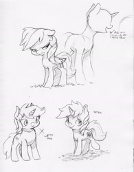 Size: 2402x3079 | Tagged: safe, artist:dilarus, deleted from derpibooru, imported from derpibooru, rainbow dash, pegasus, pony, unicorn, dialogue, female, mare, monochrome, simple background, size difference, smoldash, traditional art, white background