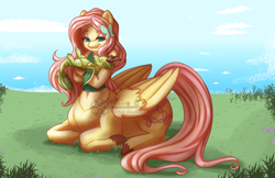 Size: 1020x660 | Tagged: safe, artist:bumblebun, imported from derpibooru, fluttershy, oc, oc:rye, oc:rye bread, anthro, centaur, dragon, pegasus, taur, anthro centaur, baby, baby dragon, belly button, centaurshy, clothes, commission, female, laying on stomach, mare, meadow, pet, ponytaur, prone, sitting, watermark