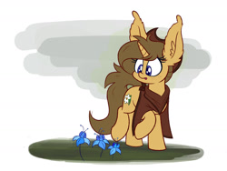 Size: 1280x960 | Tagged: safe, artist:heir-of-rick, imported from derpibooru, oc, oc only, oc:buckwheat, pony, unicorn, big ears, clothes, commission, cowboy hat, cute, female, freckles, hat, mare, poison joke, poncho, raised hoof, solo, stetson