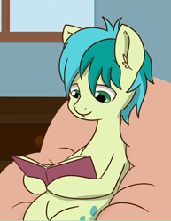 Size: 1404x1820 | Tagged: safe, artist:chedx, imported from derpibooru, sandbar, earth pony, pony, book, cropped, cutie mark, male, reading, smiling