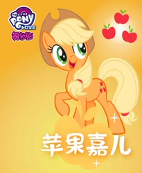 Size: 600x731 | Tagged: safe, imported from derpibooru, applejack, earth pony, pony, chinese, female, gradient background, my little pony logo, name translation, official, poster, solo