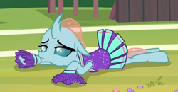 Size: 740x386 | Tagged: safe, imported from derpibooru, screencap, ocellus, 2 4 6 greaaat