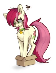 Size: 1050x1377 | Tagged: safe, artist:chibadeer, imported from derpibooru, roseluck, earth pony, pony, angry, behaving like a cat, box, chest fluff, collar, commissioner:doom9454, cute, ear fluff, fluffy, if i fits i sits, pet tag, pony in a box, pony pet, rosepet