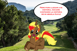 Size: 1114x741 | Tagged: safe, imported from derpibooru, oc, oc only, oc:skyward sword, oc:vulcanus, alicorn, pegasus, pony, skywar sword: las cronicas del caballero de fuego, alicorn oc, comic, horn, irl, male, photo, ponies in real life, real life background, spanish, stallion, wings