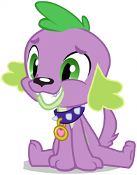 Size: 402x512 | Tagged: artist needed, safe, imported from derpibooru, spike, dog, equestria girls, collar, cute, happy, male, official, simple background, sitting, smiling, solo, spikabetes, spike the dog, transparent background, vector
