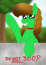 Size: 1955x2755 | Tagged: safe, artist:dyonys, derpibooru exclusive, imported from derpibooru, oc, oc:lucky brush, earth pony, pony, big eyes, big pupils, boop, braid, collar, dilated pupils, dog tags, female, freckles, mare, raised hoof, smiling, text, wall