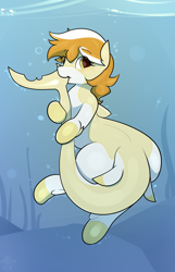 Size: 2250x3500 | Tagged: safe, artist:biepbot, imported from derpibooru, oc, oc only, oc:orange cream, original species, shark pony, biting, cute, looking at you, male, nom, solo, tail bite, underwater