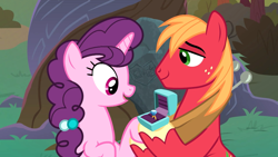 Size: 1920x1080 | Tagged: safe, imported from derpibooru, screencap, big macintosh, sugar belle, pony, the big mac question, cute, female, intertwined trees, male, marriage proposal, ring, shipping, straight, sugarmac, tree, wedding ring