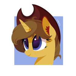 Size: 1000x1000 | Tagged: safe, artist:lollipony, imported from derpibooru, oc, oc only, oc:buckwheat, pony, unicorn, bust, solo, vector