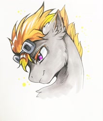 Size: 1742x2048 | Tagged: safe, artist:swaybat, imported from derpibooru, oc, oc only, oc:aj, pegasus, pony, bust, solo