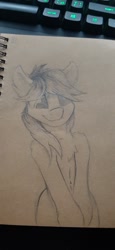 Size: 620x1344 | Tagged: safe, artist:observerdoz, imported from derpibooru, oc, oc only, earth pony, pony, sketch, traditional art