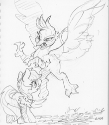 Size: 1694x1936 | Tagged: safe, artist:dilarus, deleted from derpibooru, imported from derpibooru, gilda, rainbow dash, griffon, pegasus, pony, female, mare, monochrome, simple background, size difference, smoldash, traditional art, white background