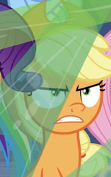 Size: 231x369 | Tagged: safe, imported from derpibooru, screencap, applejack, fluttershy, rainbow dash, rarity, pony, the ending of the end, leak, angry, applejack is not amused, cropped, shrunken pupils, solo focus, unamused