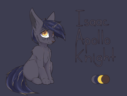 Size: 2000x1500 | Tagged: safe, artist:chapaevv, imported from derpibooru, oc, oc only, oc:isaac apollo knight, cat, male, reference sheet, simple background, sitting, solo