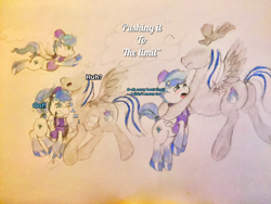 Size: 3264x2448 | Tagged: safe, artist:blueskies~, imported from derpibooru, oc, oc only, oc:blueskies, oc:onyx diamond, pegasus, pony, comic:pushing it to the limit, blushing, bump, butt, clothes, cloud, comic, cute, cutie mark, embarrassed, fez, hat, holding a pony, hooves, male, plot, scarf, stallion, vest, wings