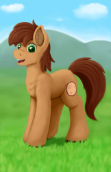 Size: 720x1110 | Tagged: safe, artist:redquoz, imported from derpibooru, oc, oc only, oc:red bark, earth pony, pony, chest fluff, ear fluff, field, fluffy, grass field, green eyes, happy, looking at you, male, paintover, paintstorm studio, ponysona, smiling, solo, stallion, teeth, three quarter view