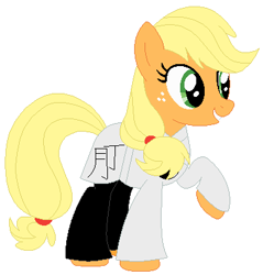 Size: 378x395 | Tagged: safe, artist:hubfanlover678, artist:selenaede, imported from derpibooru, applejack, earth pony, pony, base used, black trousers, clothes, female, freckles, gi, hatless, kanji, karate, mare, martial arts, missing accessory, pants, raised hoof, robe, simple background, solo, white background, white belt