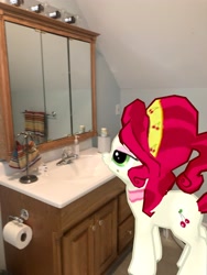 Size: 3024x4032 | Tagged: safe, imported from derpibooru, photographer:undeadponysoldier, cherry jubilee, earth pony, pony, augmented reality, bathroom, female, gameloft, irl, mare, mirror, photo, ponies in real life, sink, solo, toilet paper