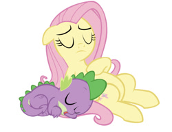 Size: 750x578 | Tagged: safe, artist:red4567, edit, editor:undeadponysoldier, imported from derpibooru, fluttershy, spike, pegasus, pony, 2 4 6 greaaat, cute, duo, eyes closed, female, fluttermom, flutterspike, hoof on chest, male, mama fluttershy, mare, shipping, simple background, sleeping, spikelove, straight, vector, white background