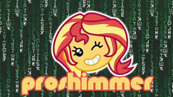 Size: 1920x1080 | Tagged: safe, edit, edited screencap, imported from derpibooru, screencap, sunset shimmer, equestria girls, equestria girls series, game stream, spoiler:eqg series (season 2), code, comments haven't aged well, computer, cute, emoji, eyelashes, female, gamer sunset, happy, one eye closed, open mouth, ponies the anthology vii, projared, proshimmer, shimmerbetes, shimmercode, smiling, solo, text, text edit, the matrix, this didn't age well, wink, woman, written equestrian