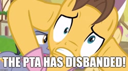 Size: 888x499 | Tagged: safe, edit, edited screencap, imported from derpibooru, screencap, caramel, diamond cutter, dizzy twister, orange swirl, rainbowshine, earth pony, pony, fame and misfortune, caption, dramamel, image macro, male, meme, stallion, text, the pta disbands, the simpsons