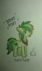 Size: 612x1024 | Tagged: safe, artist:zetapuppis, imported from derpibooru, oc, oc only, oc:stoney poney, earth pony, pony, photo, solo, traditional art