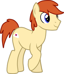 Size: 2505x2894 | Tagged: safe, artist:feathertrap, deleted from derpibooru, imported from derpibooru, oc, oc only, oc:lace cuff, earth pony, pony, 1000 hours in gimp, male, simple background, smiling, solo, stallion, transparent background, vector