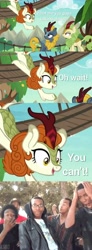 Size: 3413x9321 | Tagged: safe, edit, edited screencap, imported from derpibooru, screencap, autumn blaze, spring glow, winter flame, kirin, pony, sounds of silence, background kirin, comic, female, meme, roasted, screencap comic, supa hot fire