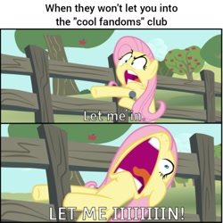 Size: 1440x1440 | Tagged: safe, artist:steyrrdash, edit, imported from derpibooru, fluttershy, pony, comic, faic, fandom, flutterscream, let me in, meme, open mouth, ponified, show accurate, the eric andre show, wat