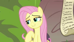 Size: 1920x1080 | Tagged: safe, imported from derpibooru, screencap, fluttershy, pony, she talks to angel, checklist, female, lidded eyes, list, mare, solo