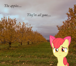 Size: 1733x1500 | Tagged: safe, artist:bryal, imported from derpibooru, apple bloom, earth pony, pony, autumn, cloud, dark clouds, female, filly, irl, photo, ponies in real life, raincloud, sad, sad in hindsight, solo, tree