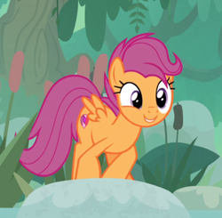 Size: 538x527 | Tagged: safe, imported from derpibooru, screencap, scootaloo, pegasus, pony, growing up is hard to do, cropped, crouching, cute, cutealoo, cutie mark, female, mare, older, older scootaloo, smiling, solo, the cmc's cutie marks