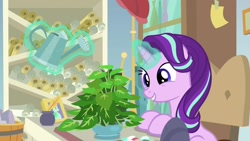 Size: 1920x1080 | Tagged: safe, imported from derpibooru, screencap, phyllis, starlight glimmer, pony, unicorn, a horse shoe-in, 1080p, cute, female, glimmerbetes, glowing horn, happy, horn, magic, mare, open mouth, plant, sitting, smiling, solo, telekinesis, watering can