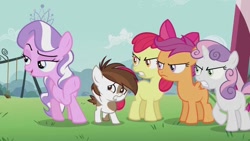 Size: 1024x576 | Tagged: safe, imported from derpibooru, screencap, apple bloom, diamond tiara, pipsqueak, scootaloo, sweetie belle, earth pony, pegasus, pony, unicorn, apple bloom's bow, bow, cutie mark crusaders, female, filly, hair bow, photo