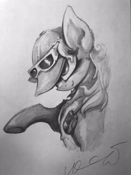 Size: 3024x4032 | Tagged: safe, artist:ignis, imported from derpibooru, oc, oc only, earth pony, pony, solo, sunglasses, traditional art