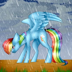 Size: 1080x1080 | Tagged: safe, artist:pepperminttea_patty_draws, artist:sacaat, imported from derpibooru, rainbow dash, pegasus, pony, collaboration, cutie mark, eyebrows, eyebrows visible through hair, female, mare, rain, sidemouth, solo, spread wings, wings