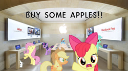 Size: 1413x785 | Tagged: artist needed, safe, imported from derpibooru, angel bunny, apple bloom, applejack, fluttershy, lyra heartstrings, rainbow dash, twilight sparkle, earth pony, pegasus, pony, unicorn, apple (company), apple logo, apple store, buy some apples, capitalism, computer, confused, female, happy, irl, laptop computer, mac computer, mare, photo, ponies in real life, pun, talking to viewer, unicorn twilight