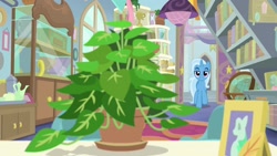 Size: 1920x1080 | Tagged: safe, imported from derpibooru, screencap, phyllis, trixie, pony, unicorn, a horse shoe-in, female, mare, potted plant, solo, starlight's office