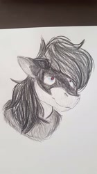 Size: 1072x1920 | Tagged: safe, artist:euspuche, imported from derpibooru, oc, oc:bur glar, pony, angry, bust, male, portrait, sad, simple background, traditional art, white background