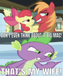 Size: 640x778 | Tagged: safe, edit, edited screencap, editor:undeadponysoldier, imported from derpibooru, screencap, apple bloom, big macintosh, spike, dragon, earth pony, pony, bait and switch, bedroom eyes, caption, don't even think about it, female, filly, image macro, implied incest, male, meme, pedophile, shipping, smug, spikebloom, stallion, straight, text, wrong aspect ratio