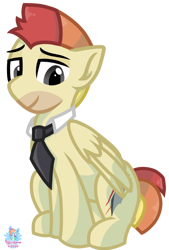 Size: 721x1068 | Tagged: safe, artist:rainbow eevee, imported from derpibooru, oc, oc:jet stream, pegasus, pony, male, simple background, transparent background, vector