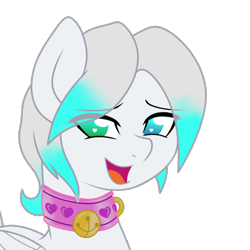 Size: 716x716 | Tagged: safe, artist:darkstorm mlp, artist:snowbankst, artist:wishing star, imported from derpibooru, oc, oc only, oc:cold front, pegasus, pony, collar, heterochromia, icon, latex, looking at you, male, pegasus oc, simple background, solo, transparent background