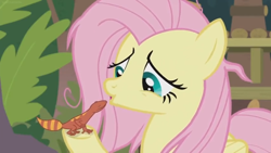 Size: 1600x900 | Tagged: safe, imported from derpibooru, screencap, fluttershy, fire lizard, gecko, lizard, pegasus, pony, she talks to angel, bags under eyes, duo, female, frazzled, mare, sweet feather sanctuary, tired