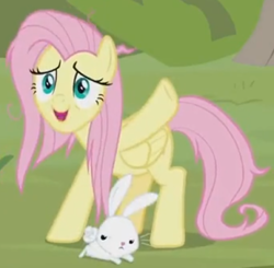 Size: 920x900 | Tagged: safe, imported from derpibooru, screencap, angel bunny, fluttershy, pegasus, pony, rabbit, she talks to angel, animal, cropped, duo, female, frazzled, male, mare, tired, unamused