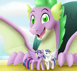 Size: 3810x3501 | Tagged: safe, artist:09hankris, artist:tsitra360, imported from derpibooru, shining armor, spike, twilight sparkle, alicorn, dragon, pony, alicornified, female, male, mare, older, older spike, prince shining armor, race swap, shiningcorn, smiling, sparkle siblings, stallion, twilight sparkle (alicorn), winged spike, wings