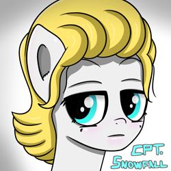 Size: 6000x6000 | Tagged: safe, artist:crimsonsky, artist:undisputed, imported from derpibooru, oc, oc only, oc:snowfall winter, pegasus, pony, female, mare, solo