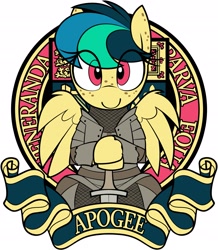 Size: 2165x2480 | Tagged: safe, artist:shinodage, imported from derpibooru, oc, oc only, oc:apogee, pegasus, pony, armor, cute, emblem, eye clipping through hair, female, filly, latin, looking at you, medieval, solo, sword, weapon
