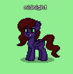 Size: 649x659 | Tagged: safe, imported from derpibooru, oc, oc only, oc:midnight curf, bat pony, pony, pony town, solo