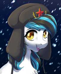 Size: 2256x2732 | Tagged: safe, artist:tigra0118, imported from derpibooru, oc, oc only, earth pony, pony, artwork, bust, commission, female, hat, looking at you, my little pony, portrait, solo, ushanka